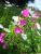 full_dscn1576.jpg