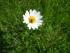 full_dscn1577.jpg