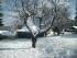 Dezember 2010