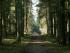 full_01.04.082.jpg