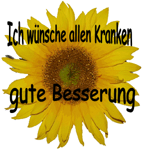 GriechInnen 75 Extra Damen 4276826119