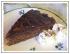 Schoko-Cappuccino Kuchen  