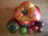 Tomaten German Gold (780g Frucht), Cherokee Purple, Green Zebra, Tigerella + Kleine Mohren