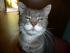 Extra f�r Ritchie S.