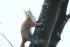 Jetz dr�ck schon auf den Aufl�ser, so zu posieren ist ganz sch�n anstrengend!