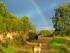 30. 11. 2012  .........Toby und Ronja unter dem Regenbogen