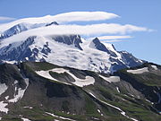 Alpengaudi