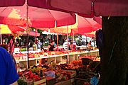 Vegetarisch f&uuml;r Anf&auml;nger (aber auch gern f&uuml;r Fortgeschrittene und Profis!)