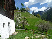 Bergmenschen-Mountainmen