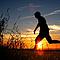 Joggen und Walken, Crosstrainer