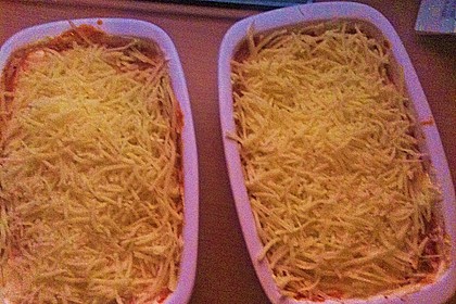 Lasagne 40