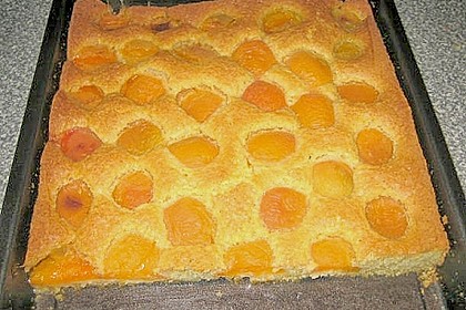 Pflaumen- , Kirschen- oder Aprikosenkuchen 5