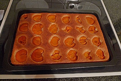 Pflaumen- , Kirschen- oder Aprikosenkuchen 2