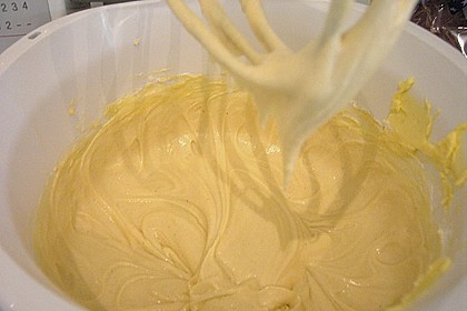 Pflaumen- , Kirschen- oder Aprikosenkuchen 8