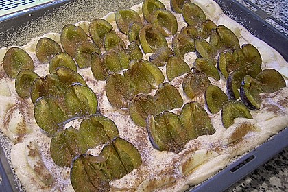 Pflaumen- , Kirschen- oder Aprikosenkuchen 7