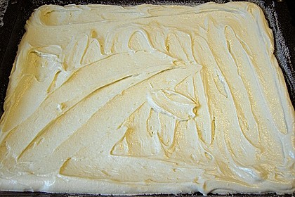 Pflaumen- , Kirschen- oder Aprikosenkuchen 10