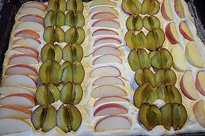 Pflaumen- , Kirschen- oder Aprikosenkuchen 3