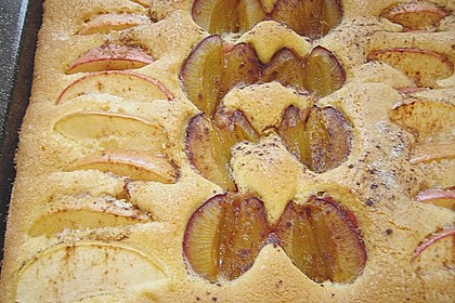 Pflaumen- , Kirschen- oder Aprikosenkuchen 4