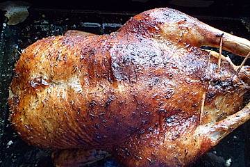 Ente badischer Art