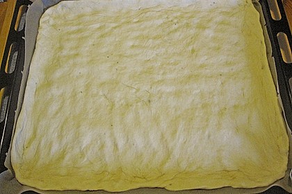 Zwiebelkuchen 78