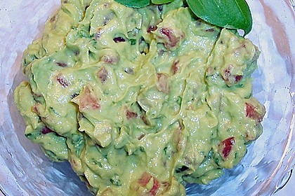 Guacamole 1