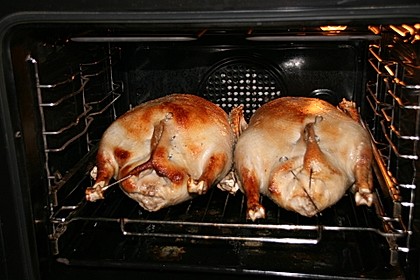 Gefüllte Gans (Niedrigtemperatur)