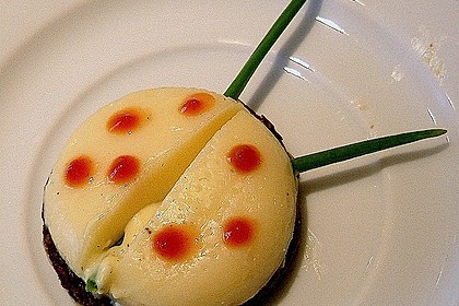 Lustige K&auml;se-K&auml;fer 2