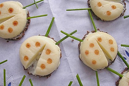Lustige K&auml;se-K&auml;fer 4
