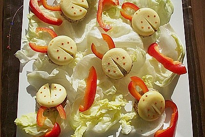 Lustige K&auml;se-K&auml;fer 37