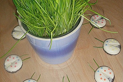 Lustige K&auml;se-K&auml;fer 39