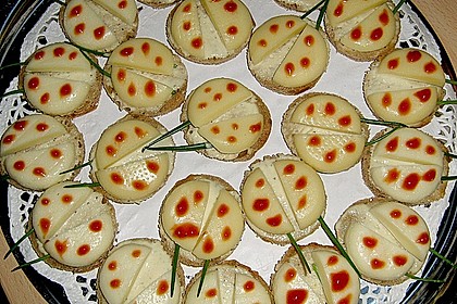 Lustige K&auml;se-K&auml;fer 45