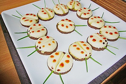 Lustige K&auml;se-K&auml;fer 46