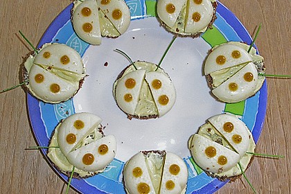 Lustige K&auml;se-K&auml;fer 9