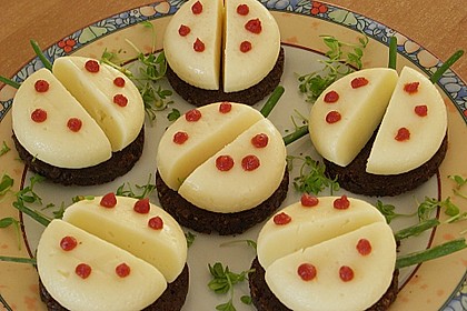 Lustige K&auml;se-K&auml;fer 51