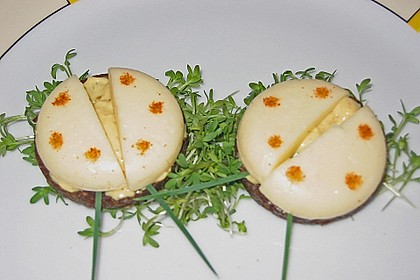 Lustige K&auml;se-K&auml;fer 11