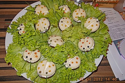 Lustige K&auml;se-K&auml;fer 62
