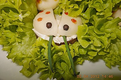 Lustige K&auml;se-K&auml;fer 63