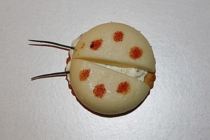Lustige K&auml;se-K&auml;fer 64