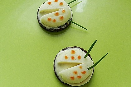 Lustige K&auml;se-K&auml;fer 67