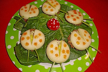 Lustige K&auml;se-K&auml;fer 69