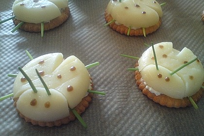 Lustige K&auml;se-K&auml;fer 70
