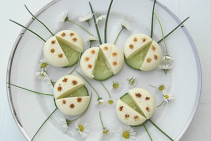 Lustige K&auml;se-K&auml;fer 14