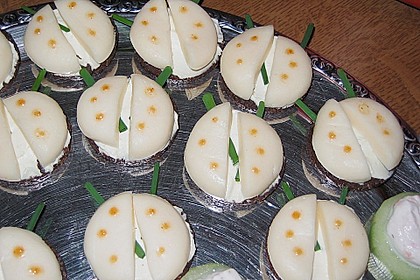 Lustige K&auml;se-K&auml;fer 16