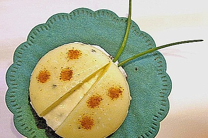 Lustige K&auml;se-K&auml;fer