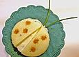 Lustige K&auml;se-K&auml;fer