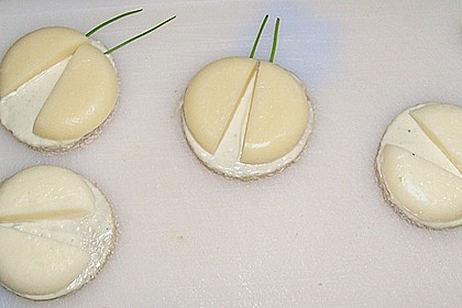 Lustige K&auml;se-K&auml;fer 24