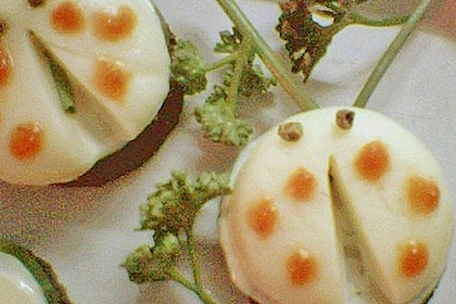 Lustige K&auml;se-K&auml;fer 27