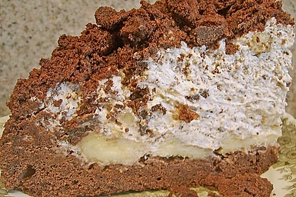 Maulwurfkuchen 17