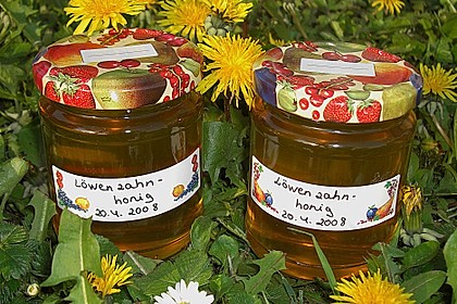 L&ouml;wenzahnsirup