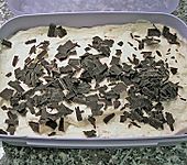 Orangen-Tiramisu (Bild)